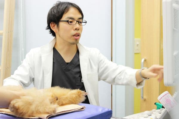 奥沢すばる動物病院 2