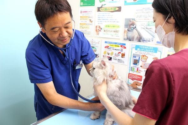 駒沢どうぶつ病院 3