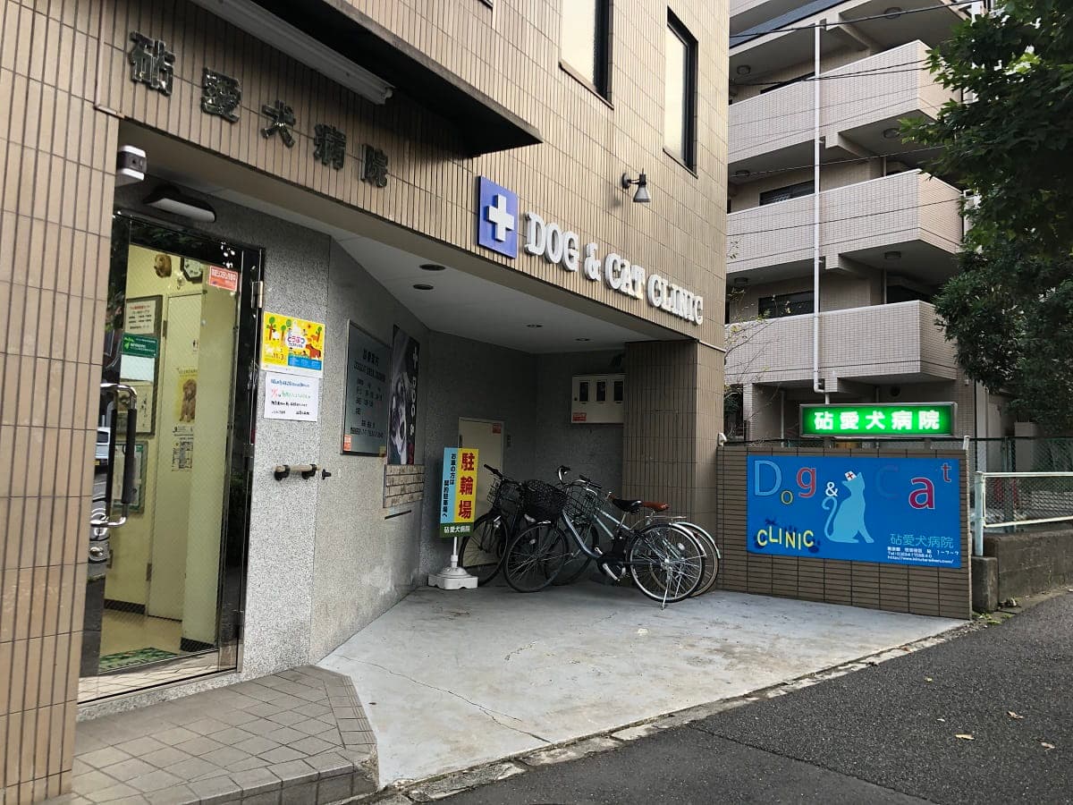 砧愛犬病院