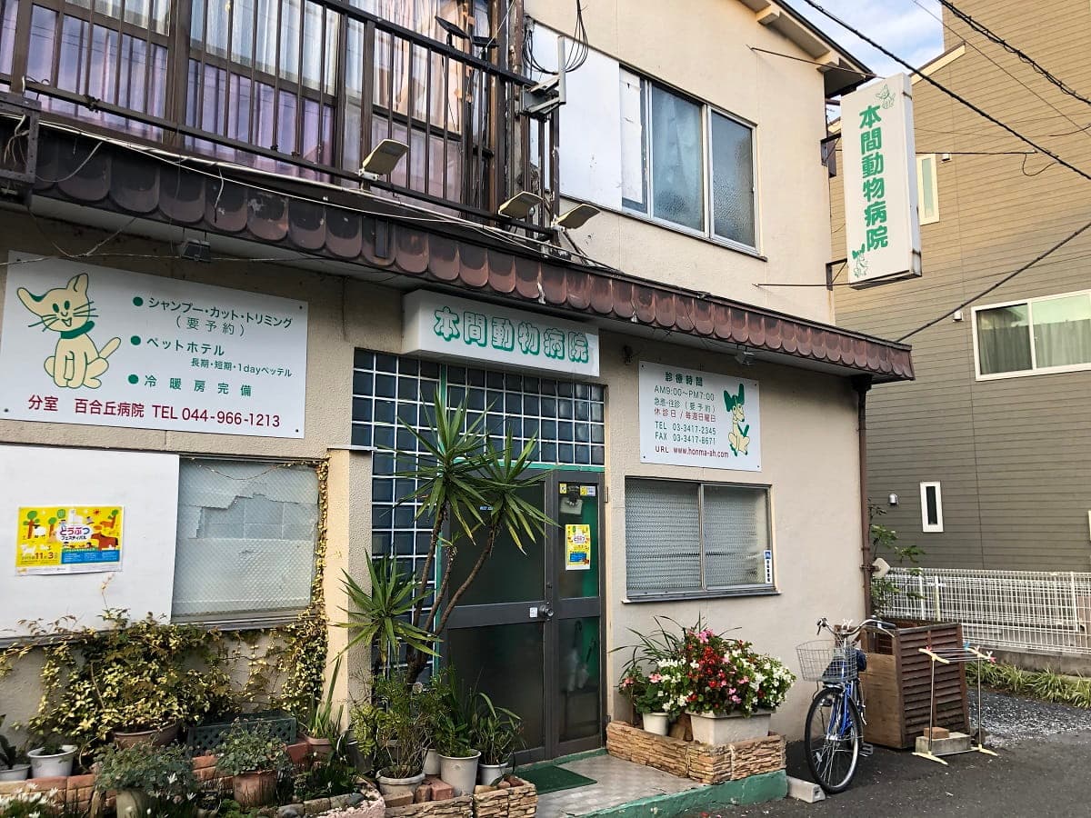 本間動物病院
