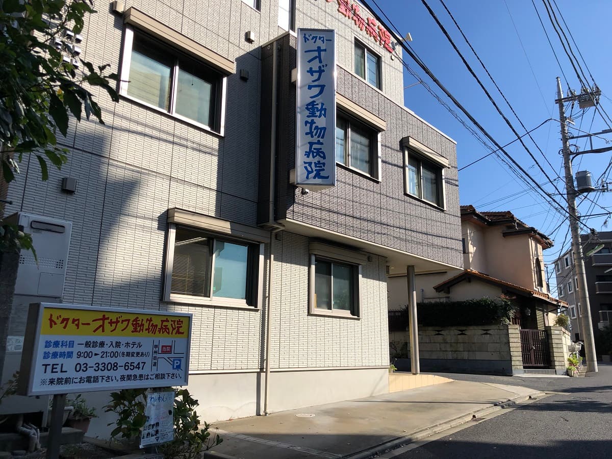 オザワ動物病院