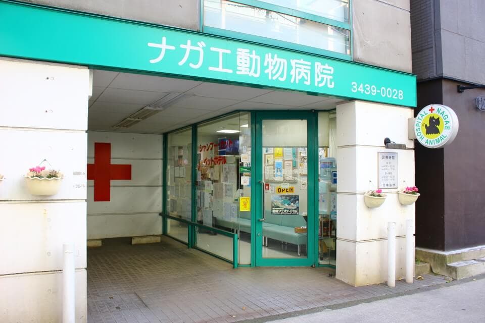 ナガエ動物病院 2
