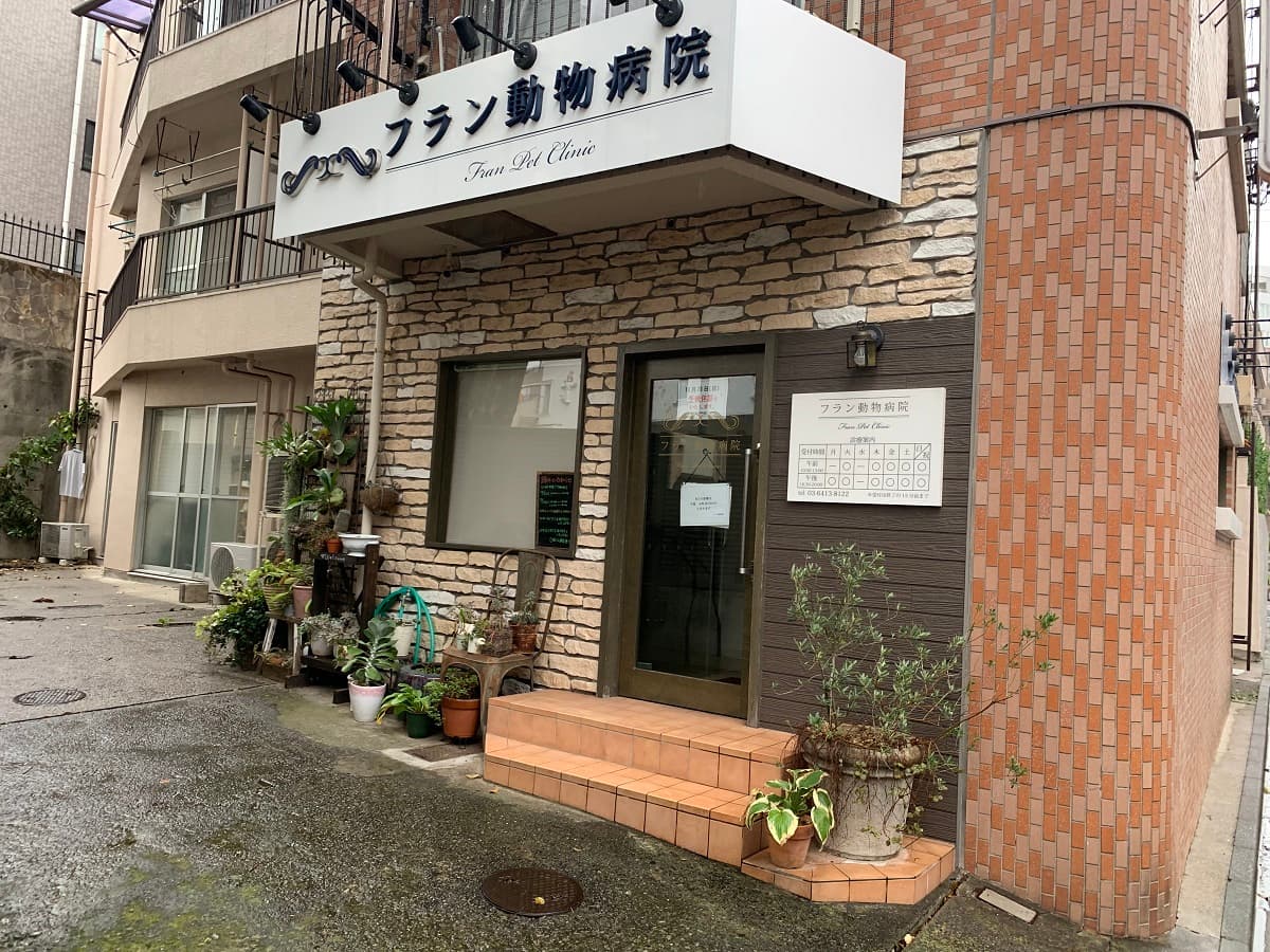 フラン動物病院