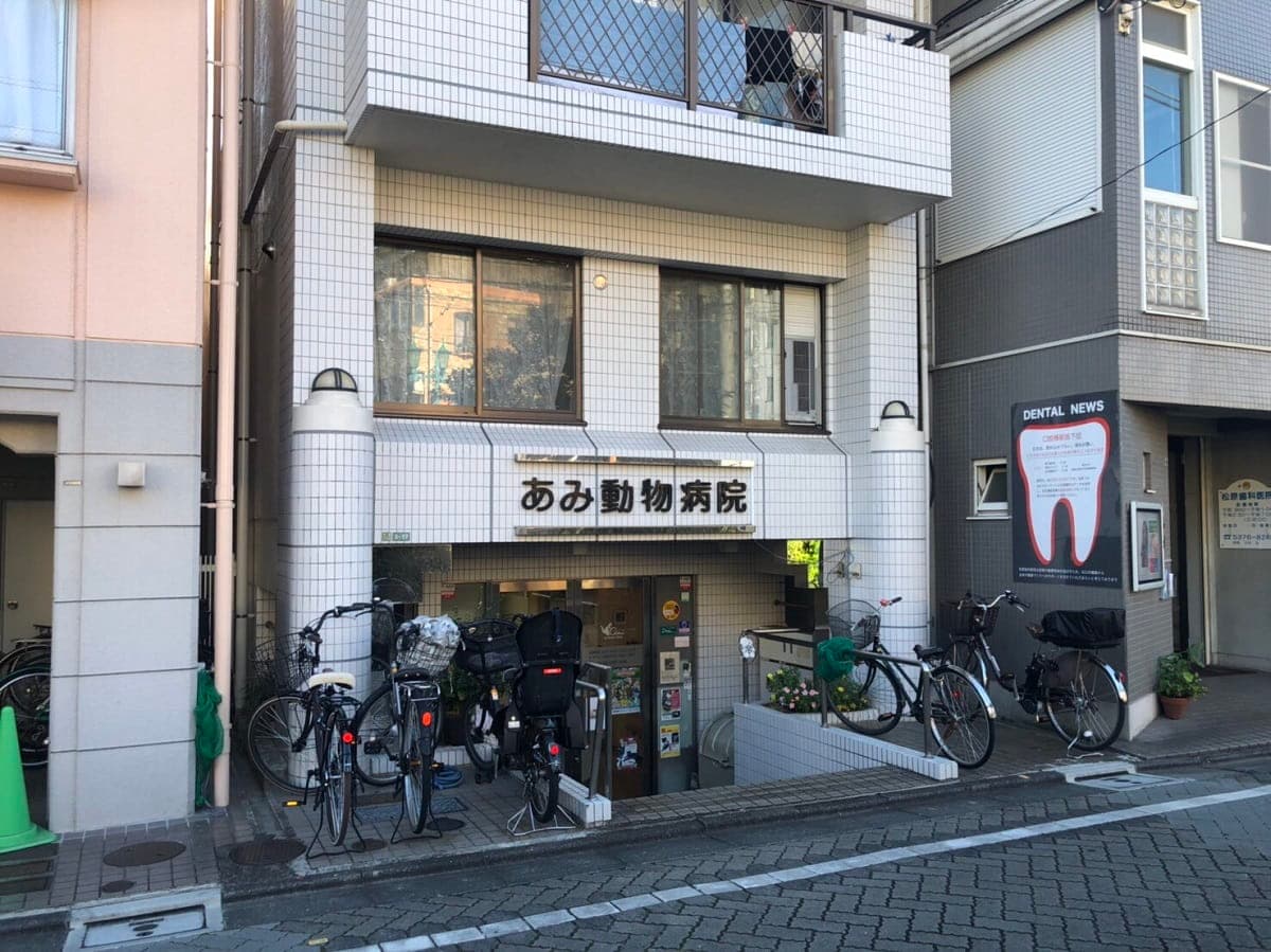 あみ動物病院