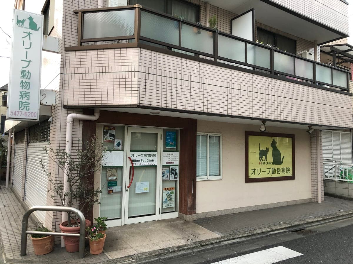 オリーブ動物病院