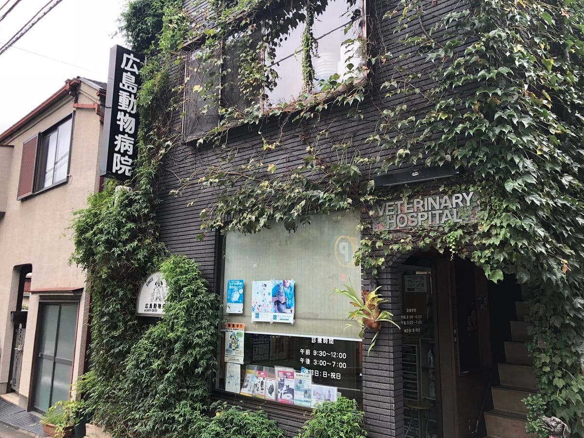 広島動物病院