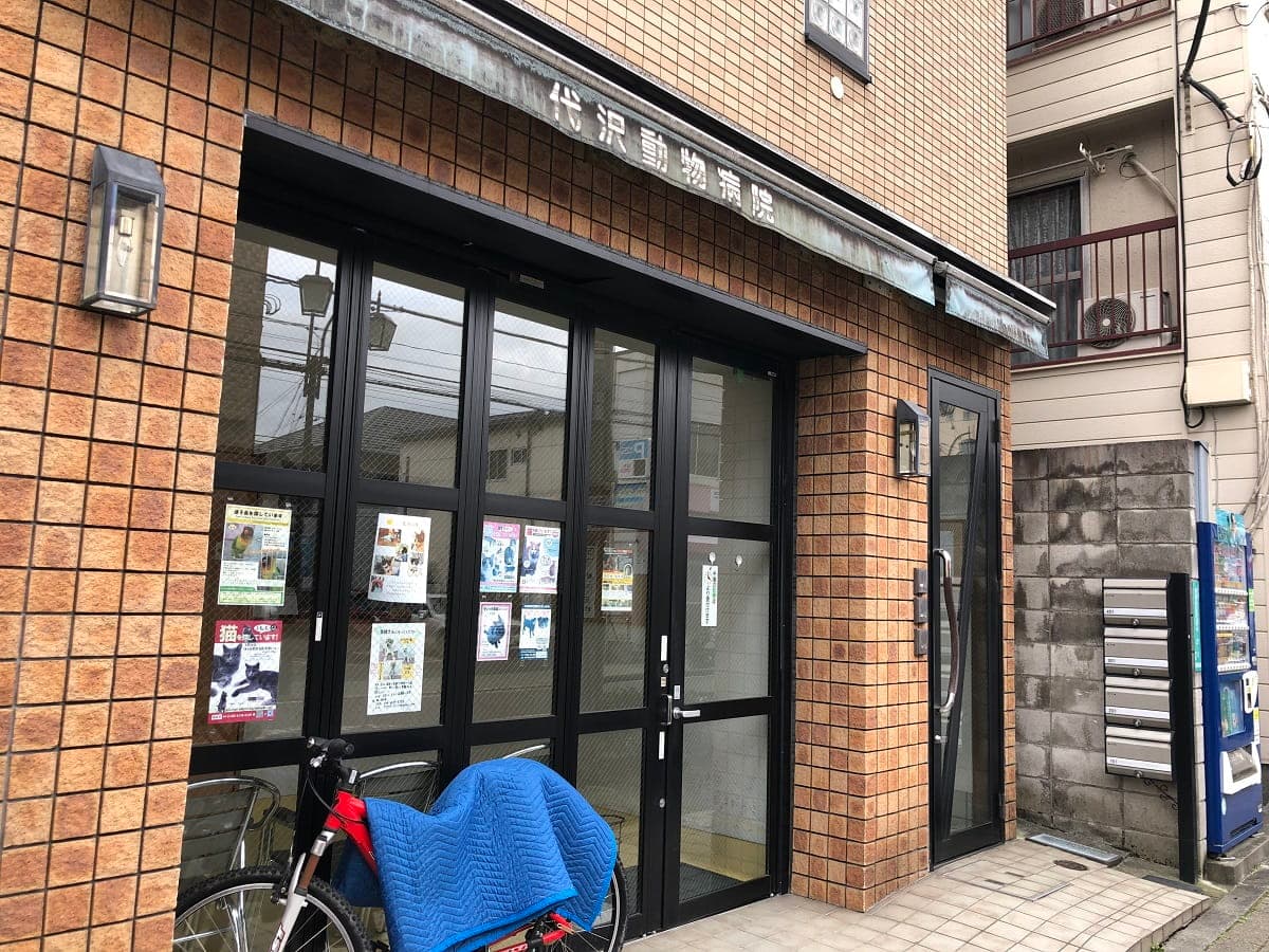 代沢動物病院