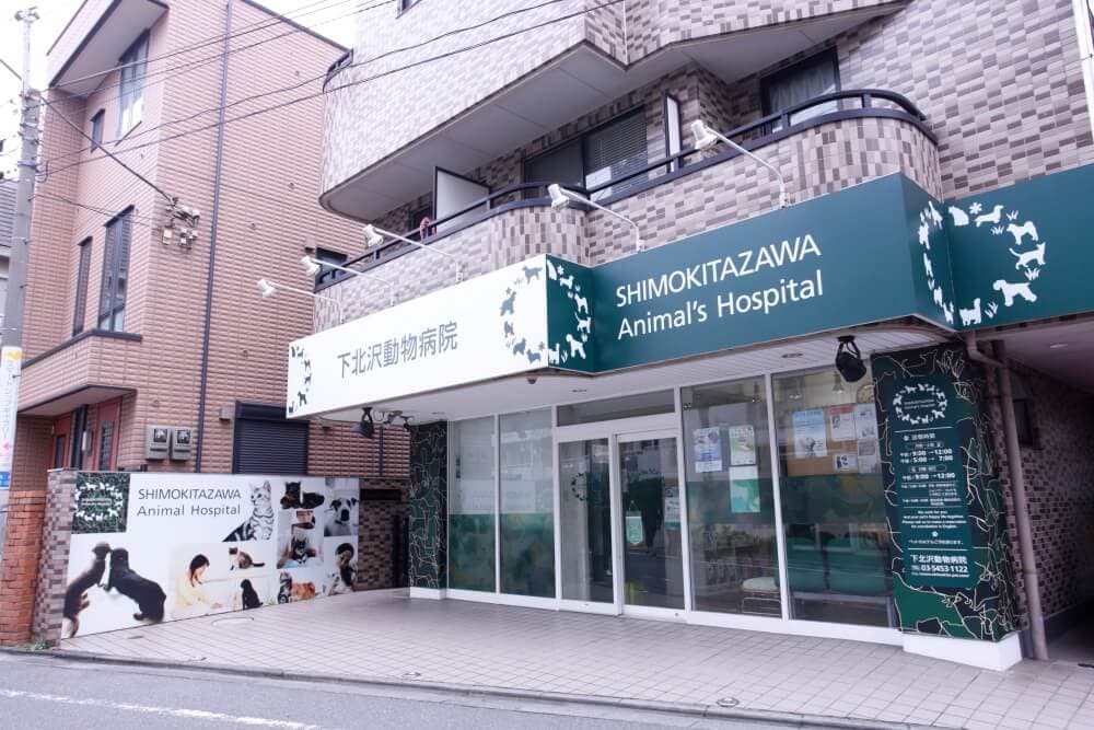 下北沢動物病院 2