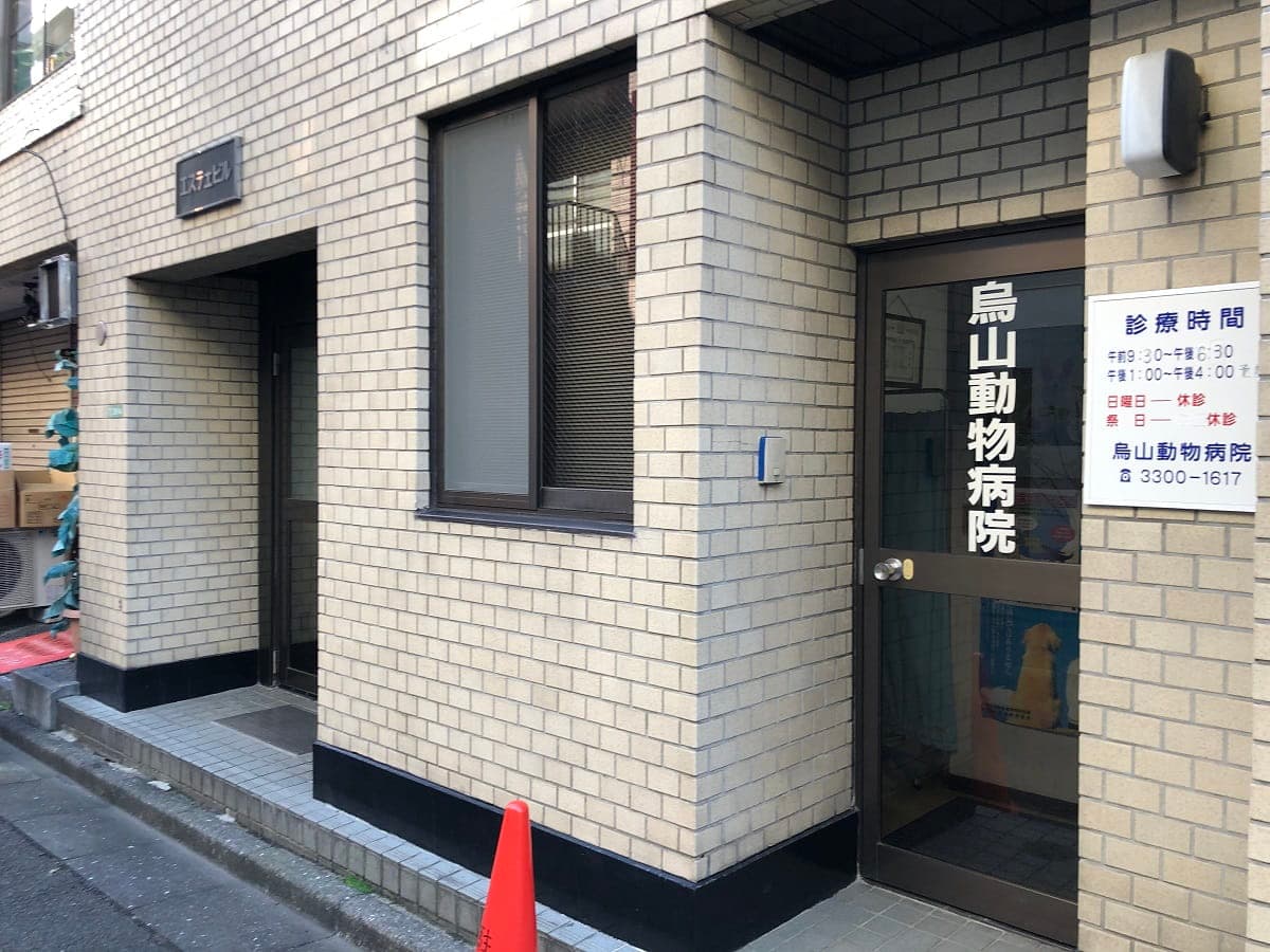 烏山動物病院