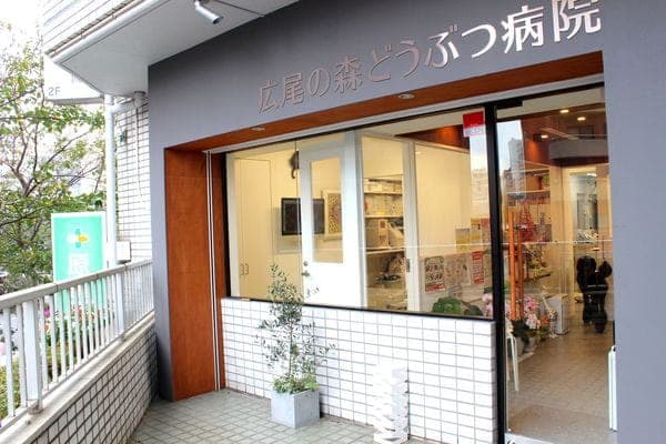 広尾の森どうぶつ病院 3