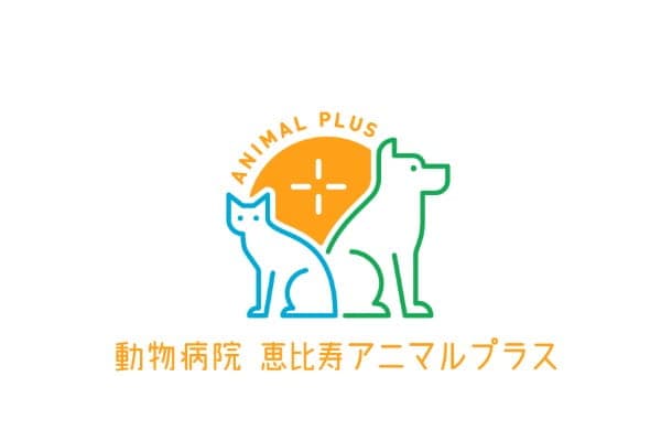 動物病院　恵比寿アニマルプラス 2