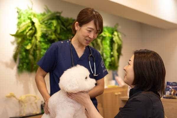 Wellness Salon cocoe