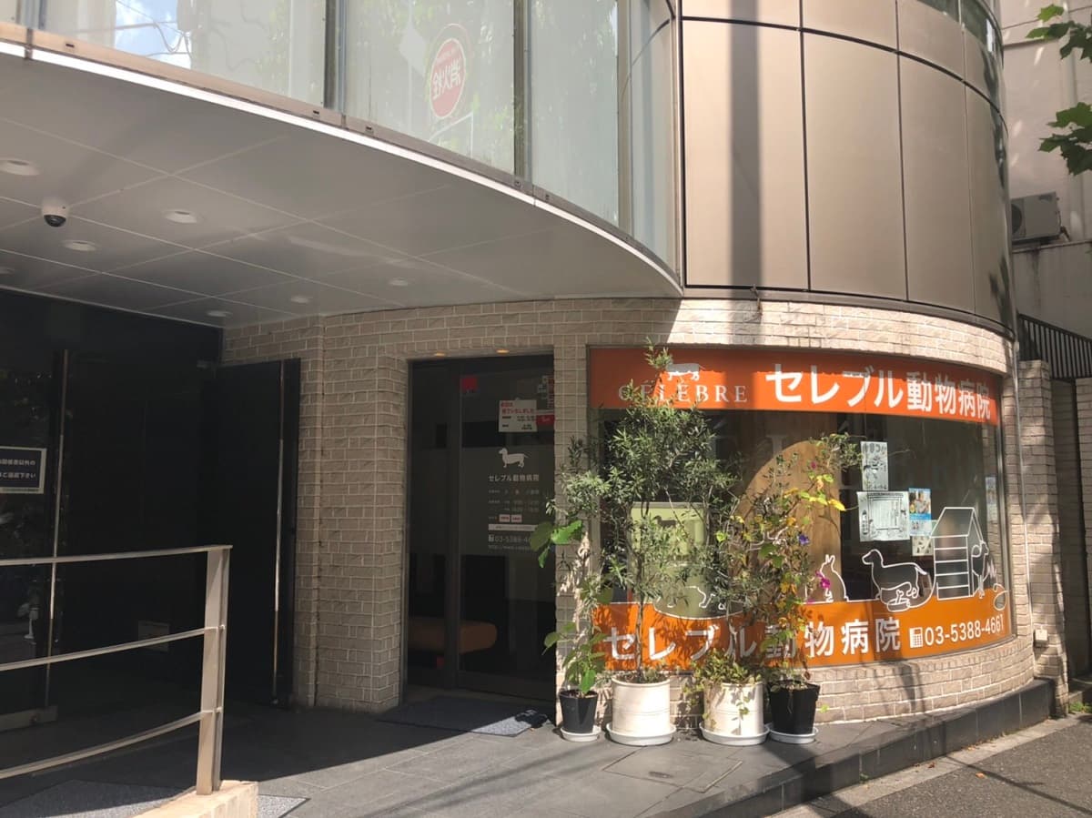 セレブル動物病院