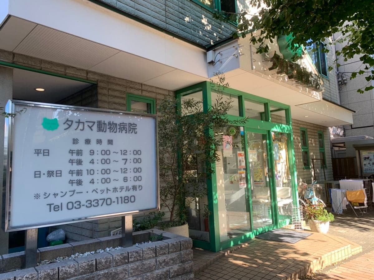 タカマ動物病院