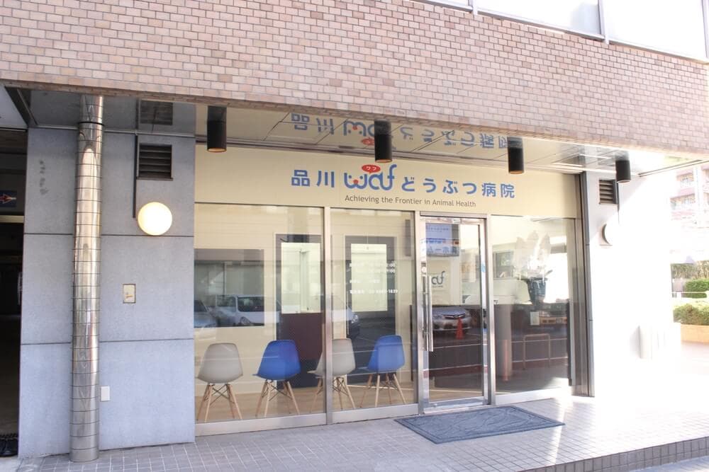 品川WAFどうぶつ病院 2