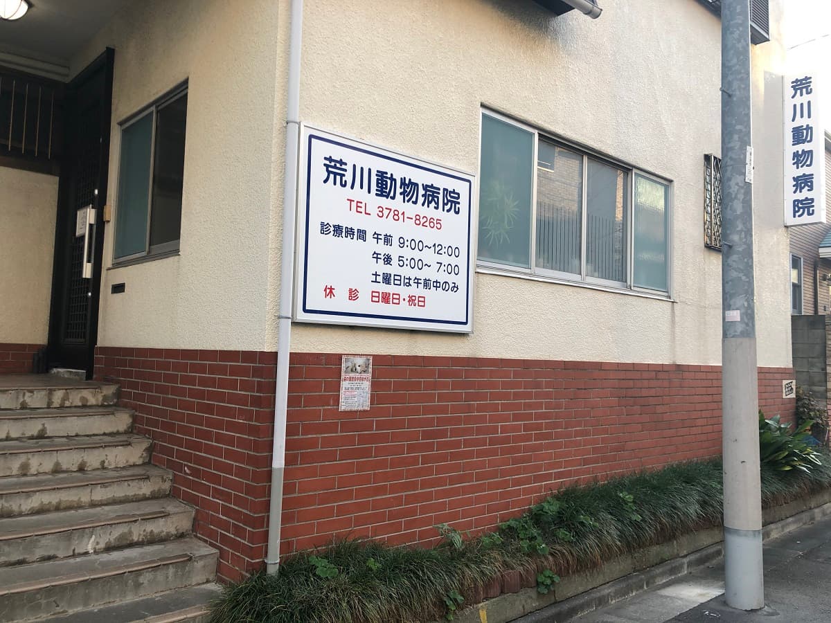 荒川動物病院