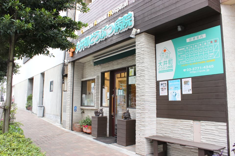 大井町どうぶつ病院 2
