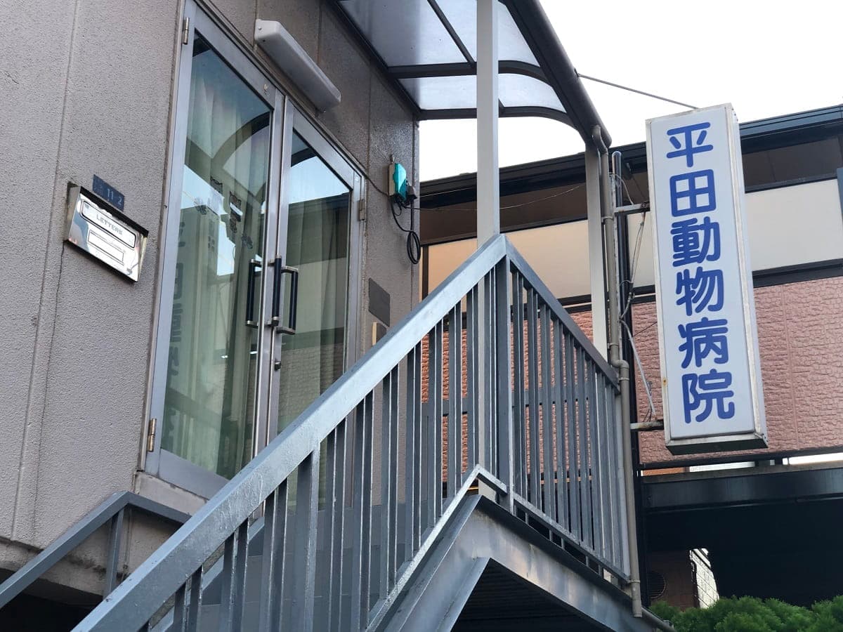 平田動物病院