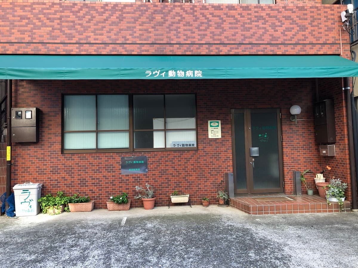 ラヴィ動物病院