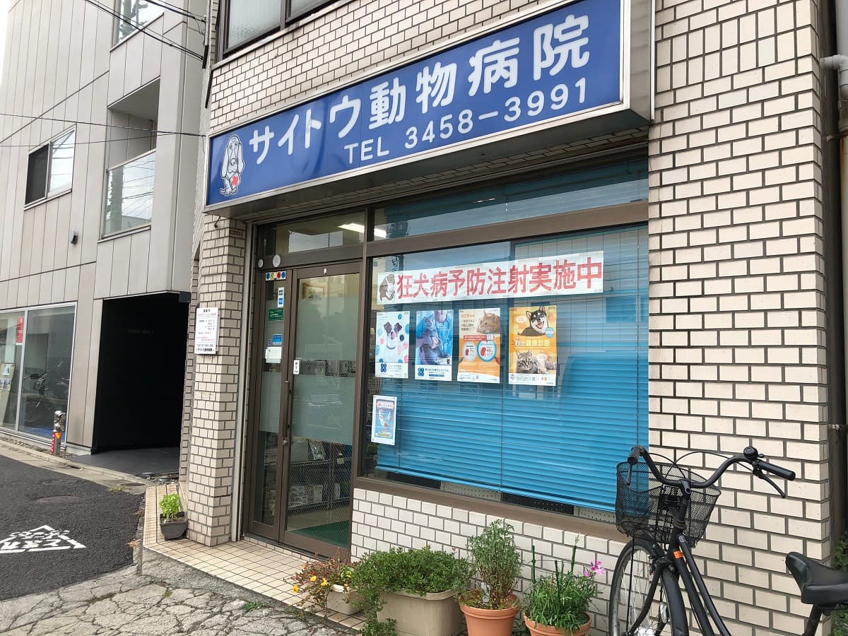 サイトウ動物病院