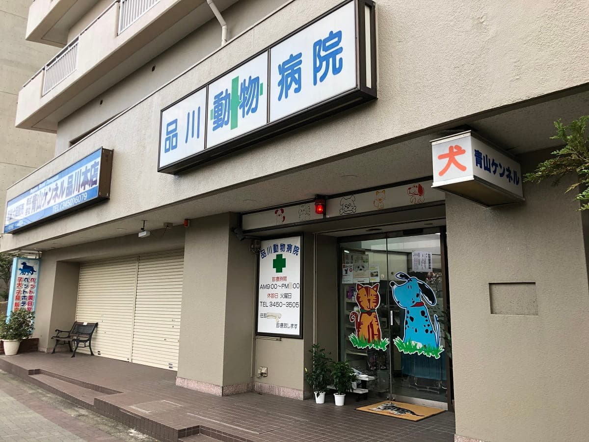品川動物病院