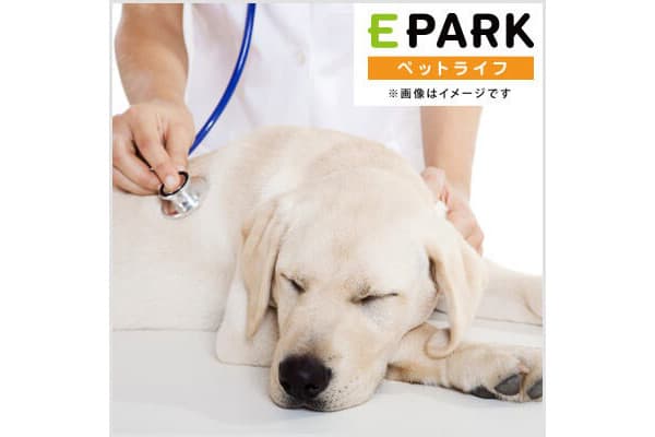 東新宿どうぶつクリニックPeco