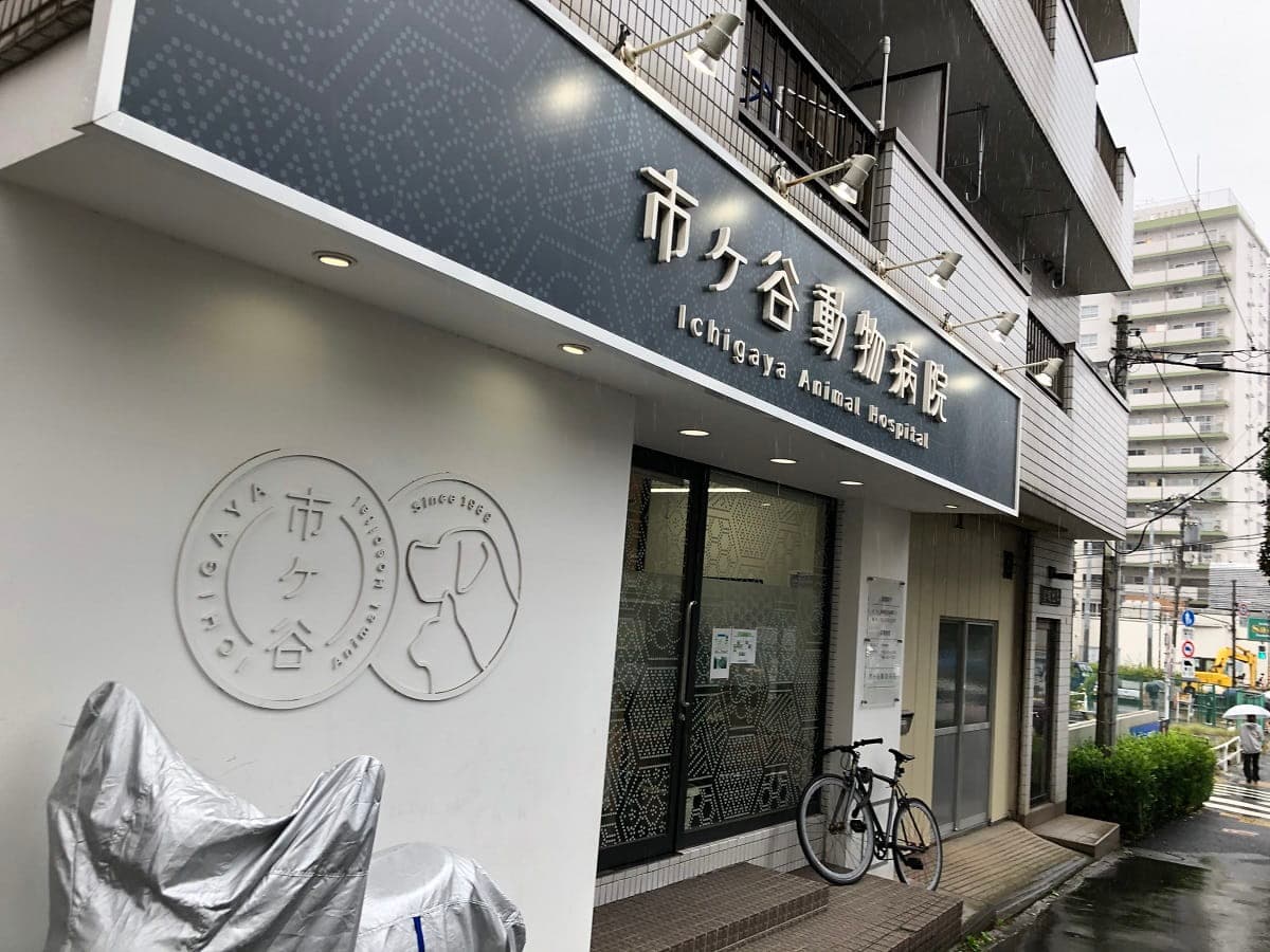市ヶ谷動物医療センター