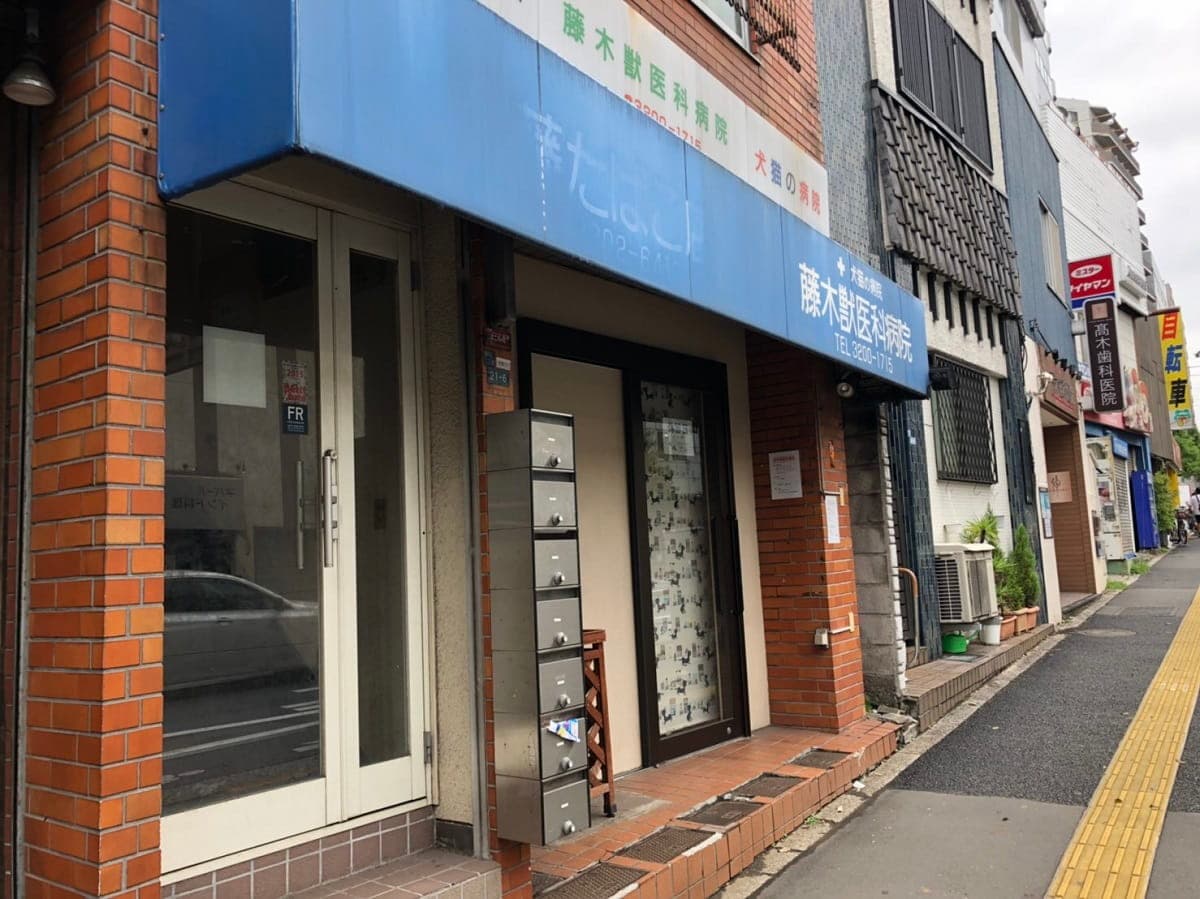 藤木獣医科病院