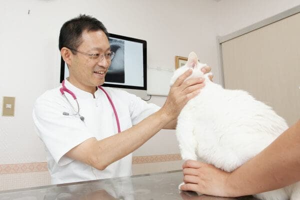 アーバン動物病院