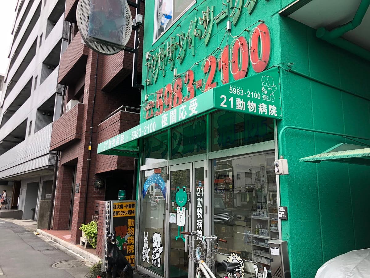 ツーワン動物病院／新目白通り院
