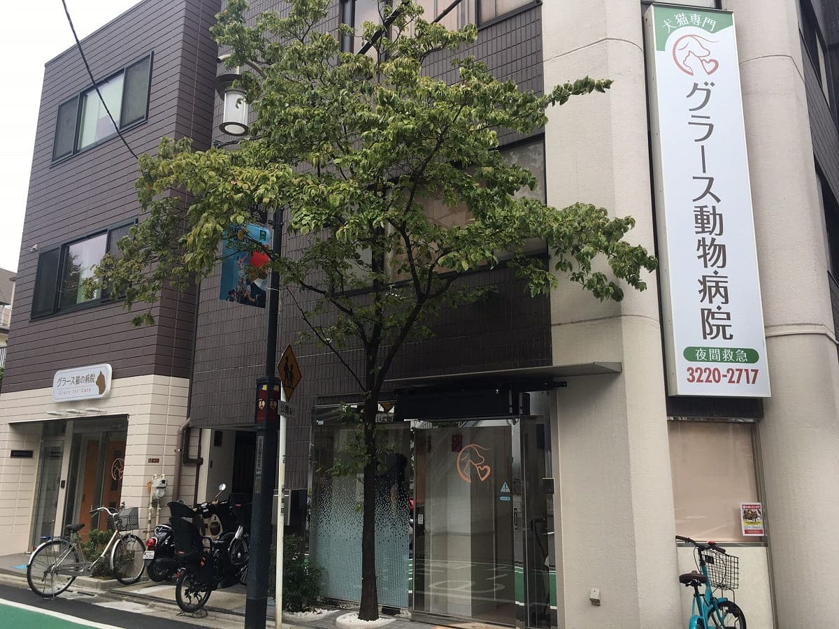 グラース動物病院