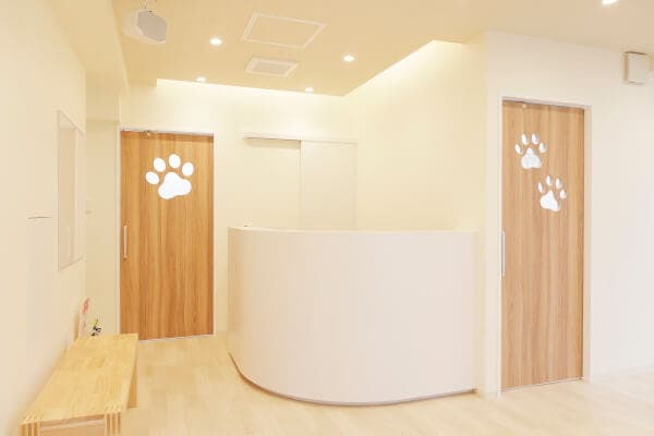 すぎなみの森動物病院 2