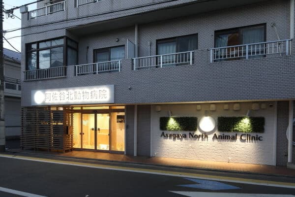 阿佐谷北動物病院 2