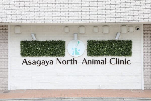 阿佐谷北動物病院 3