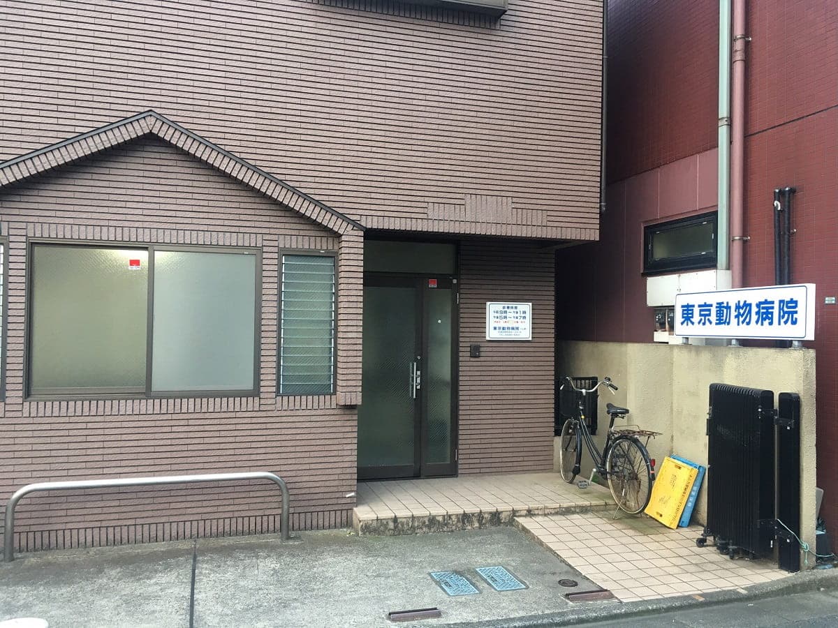 東京動物病院