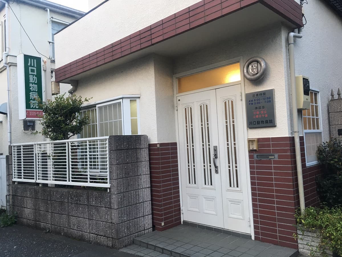 川口動物病院