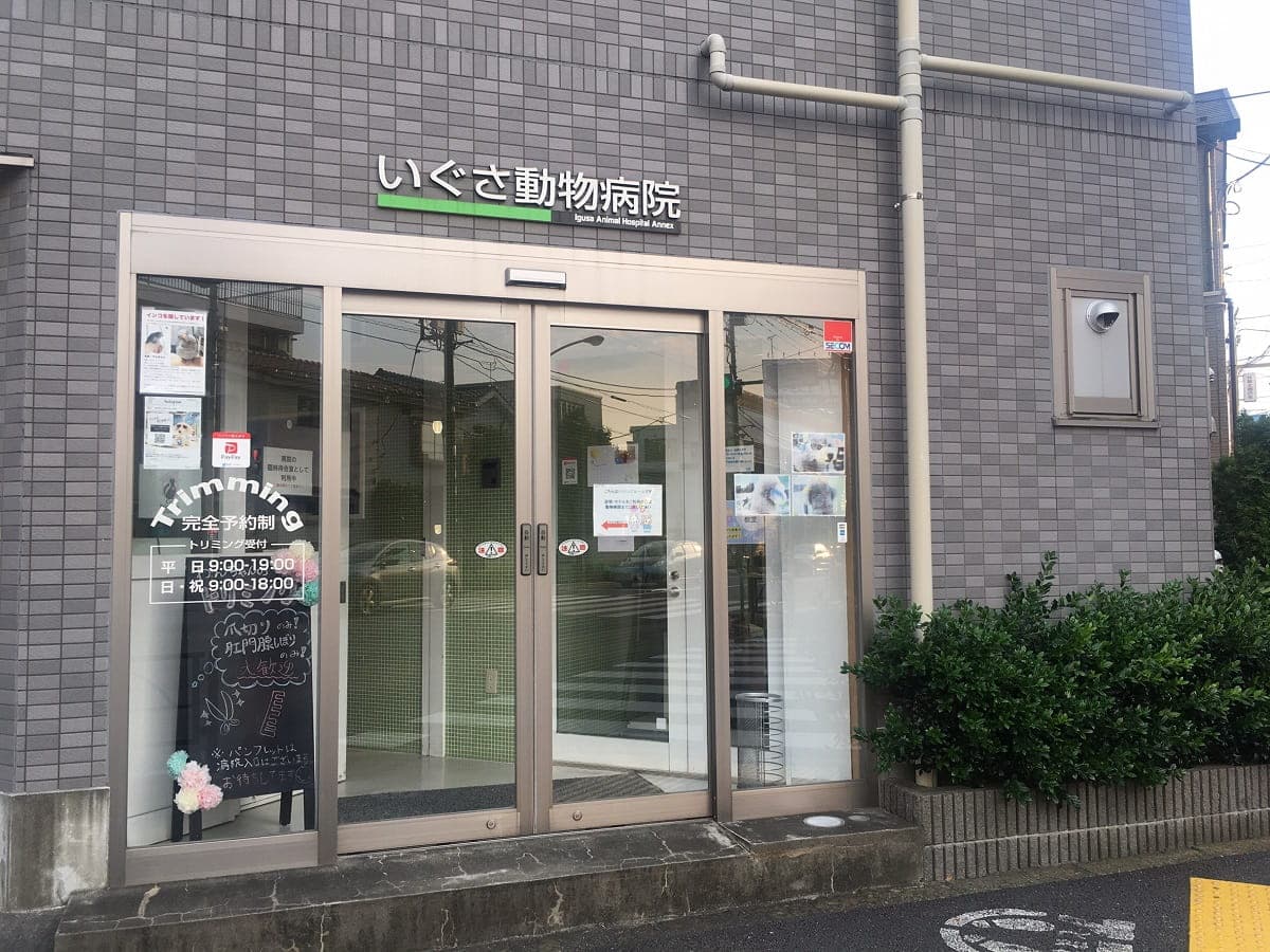 いぐさ動物病院