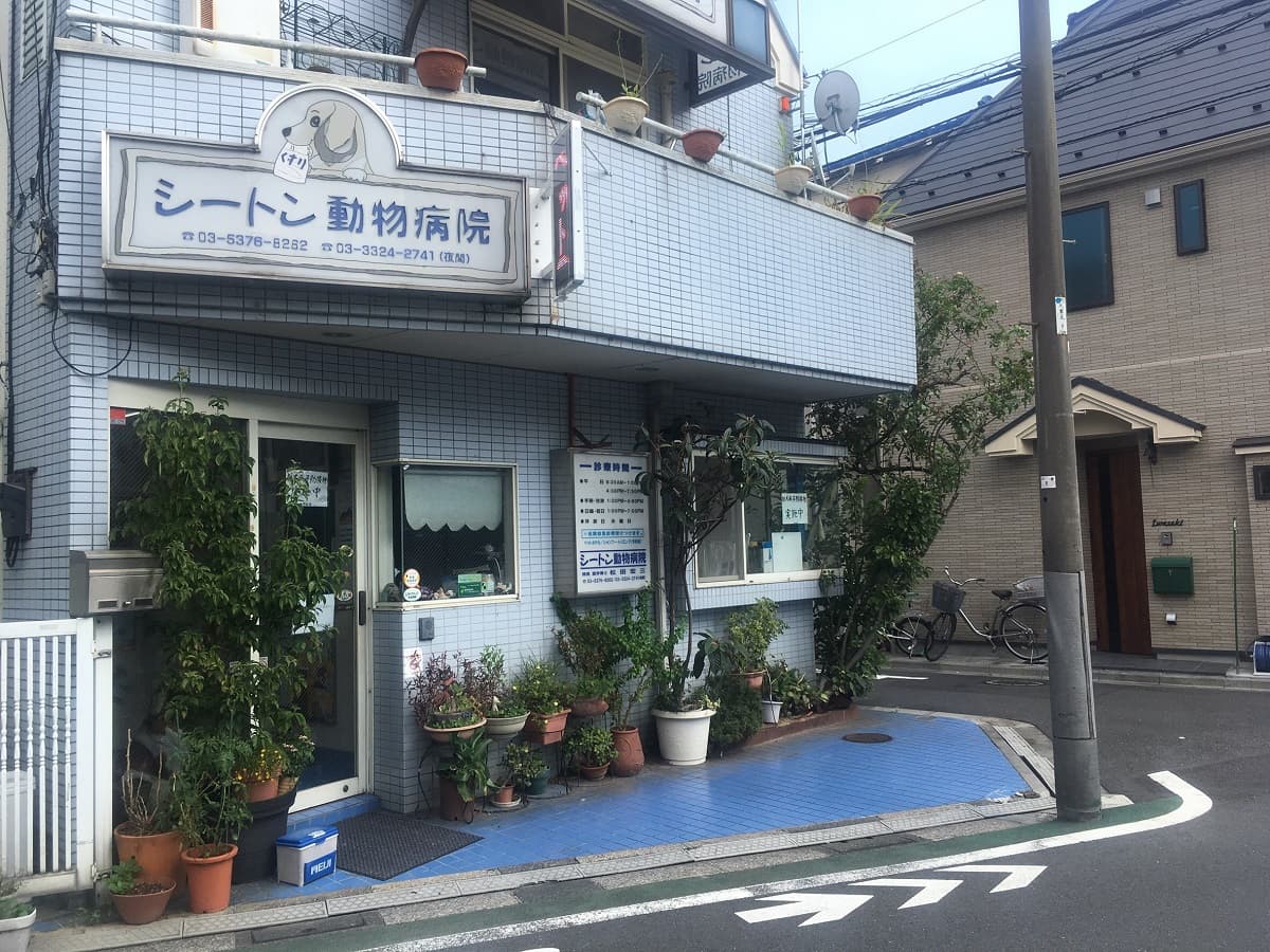 シートン動物病院