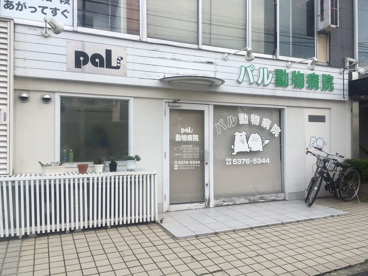 パル動物病院
