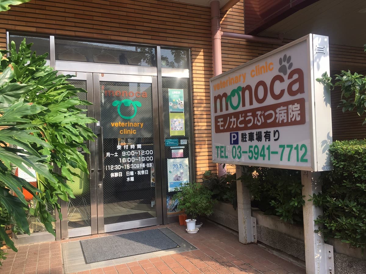 モノカどうぶつ病院