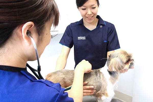 ミ・サ・キ・動物病院