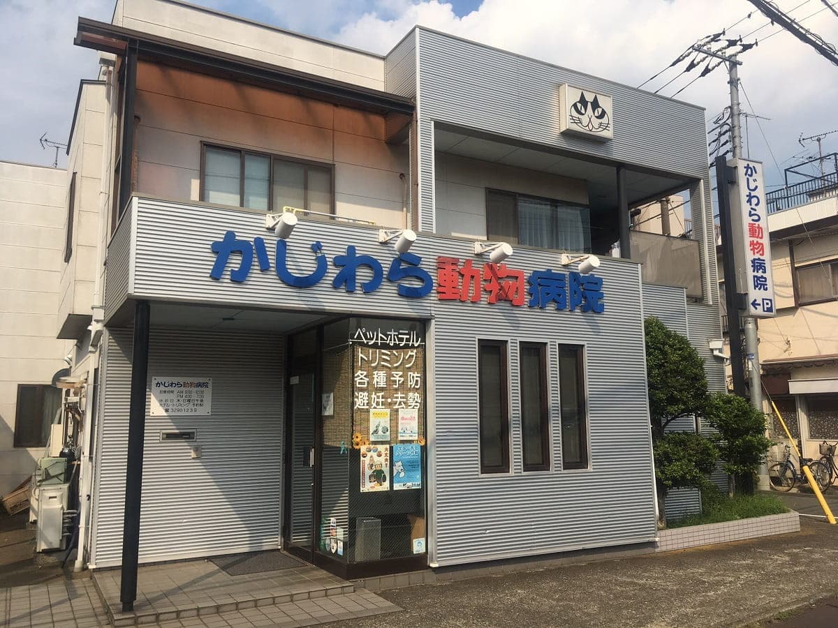 浜田山かじわら動物病院