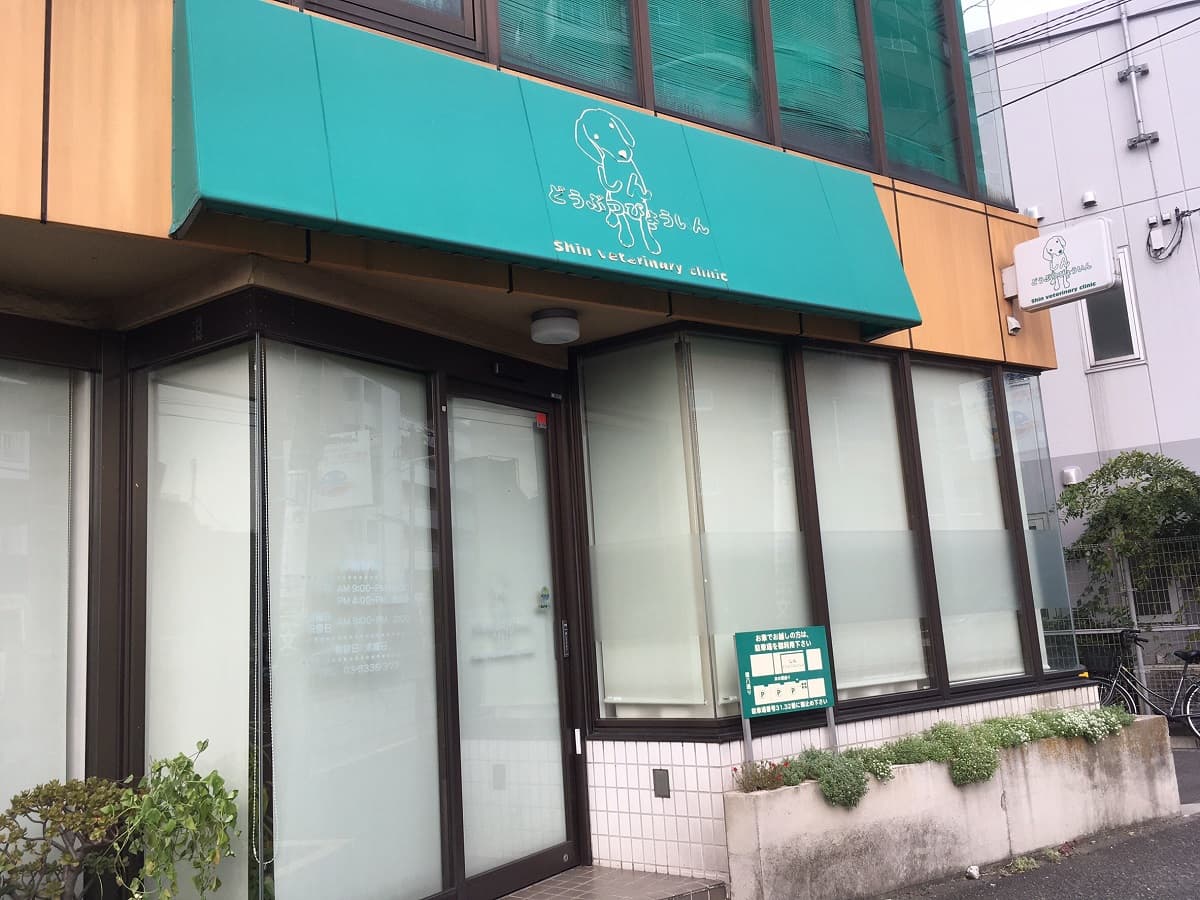 しん・どうぶつびょういん