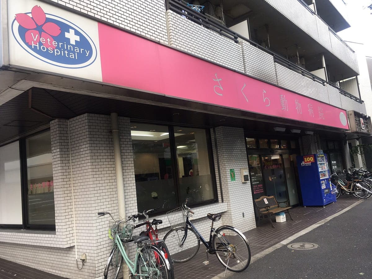 さくら動物病院