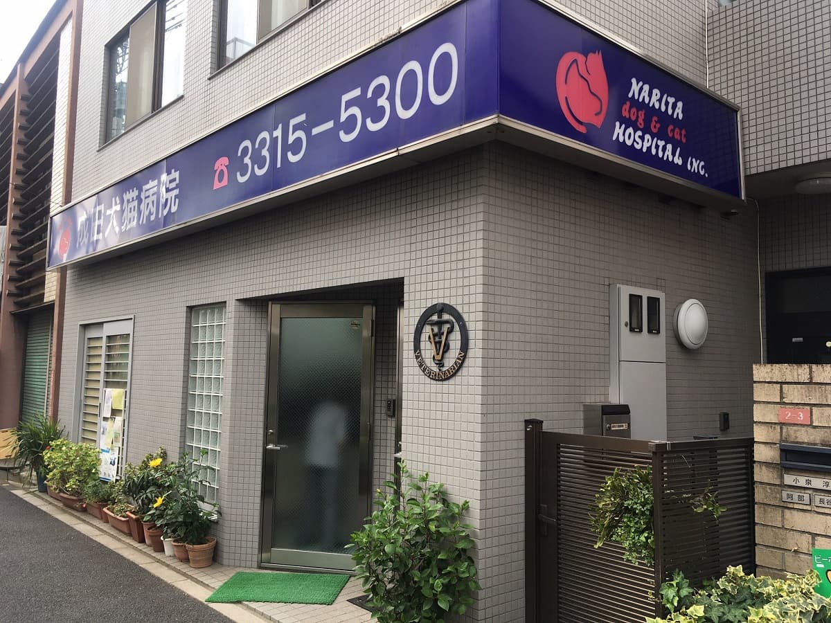 成田犬猫病院
