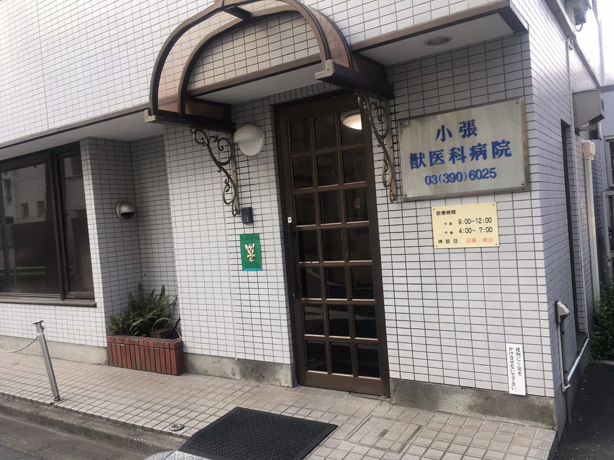 小張獣医科病院