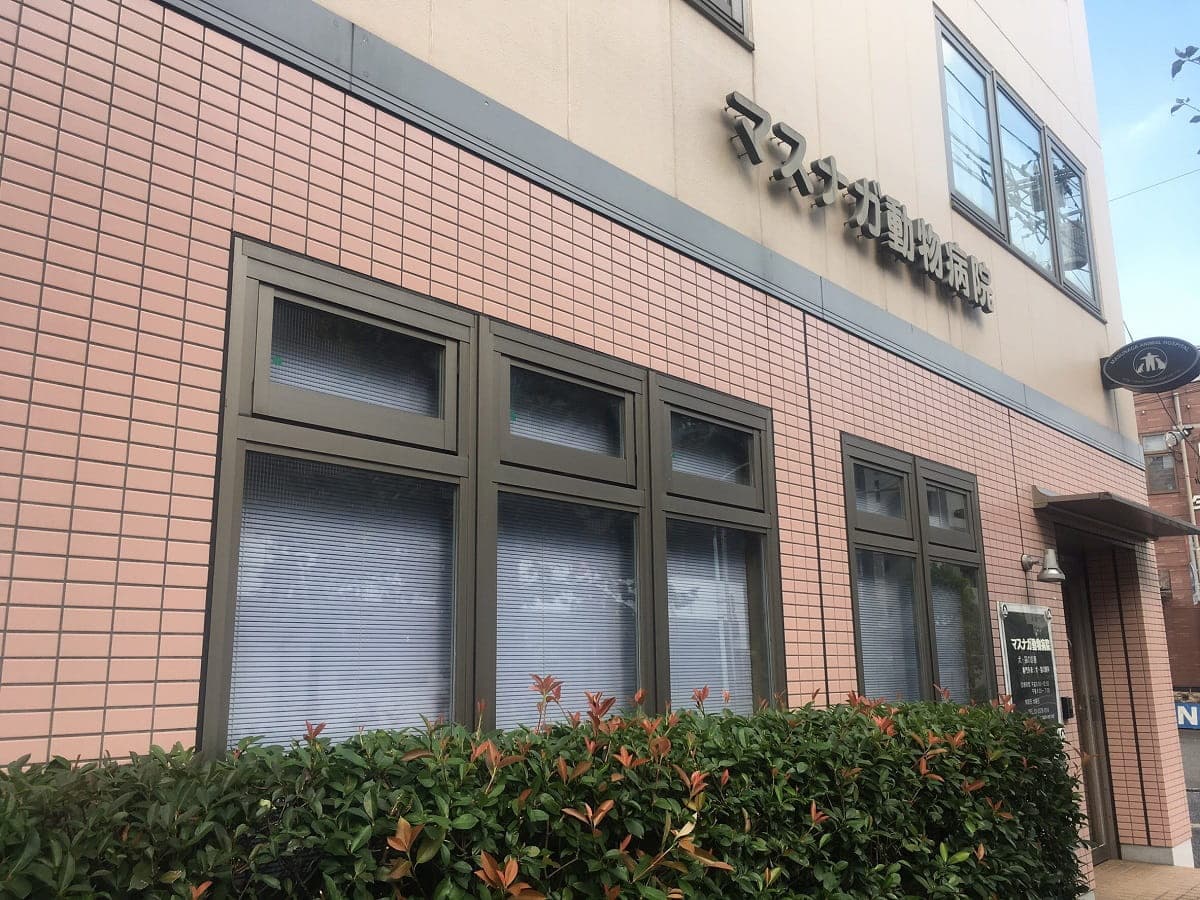 マスナガ動物病院
