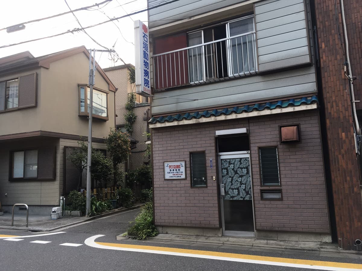 石垣動物病院