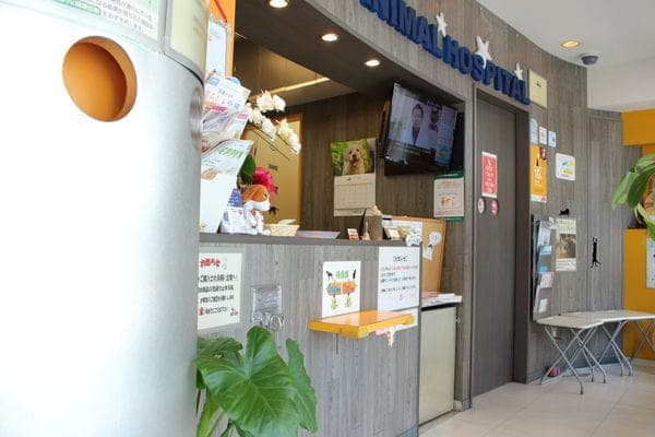 ひがしやま動物病院 3