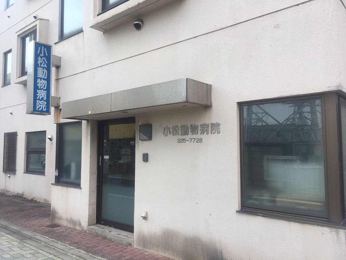 小松動物病院